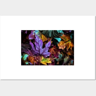 The Colors Of Nature - Autumn Leaves Posters and Art